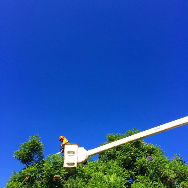 Maximize efficiency with curative and corrective maintenance